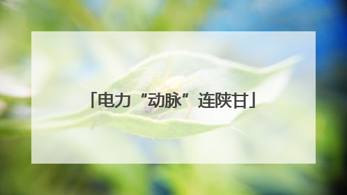 电力“动脉”连陕甘